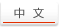 中文