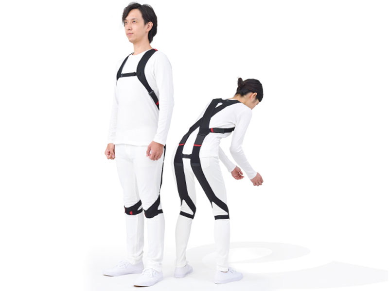 Lumbar Support Wear
