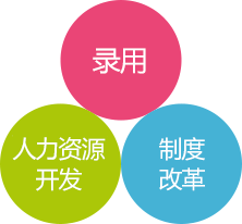 多元化推进活动的三大支柱