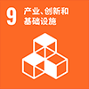 9: 产业、创新和基础设施