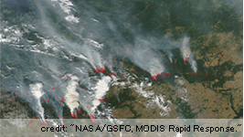 Satellite image of forest fires.