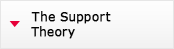 The Support Theory