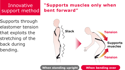 Innovative support method  “Supports muscles only when bent forward”Supports through elastomer tension that exploits the stretching of the back during bending.