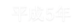 平成5年