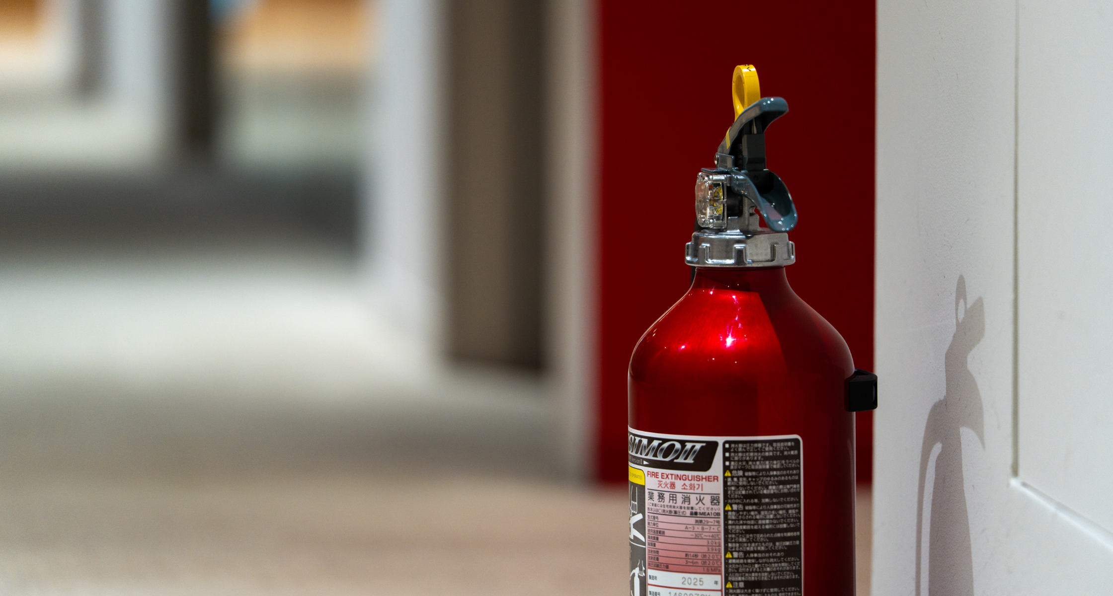 これまで挑戦したこと