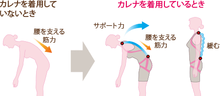 サポート理論 図